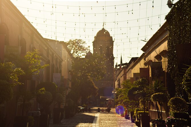 Full-Day Tequila Tour From Guadalajara - Overall Experience