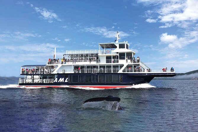 Full-Day Whale Watching Cruise From Quebec City - Logistics