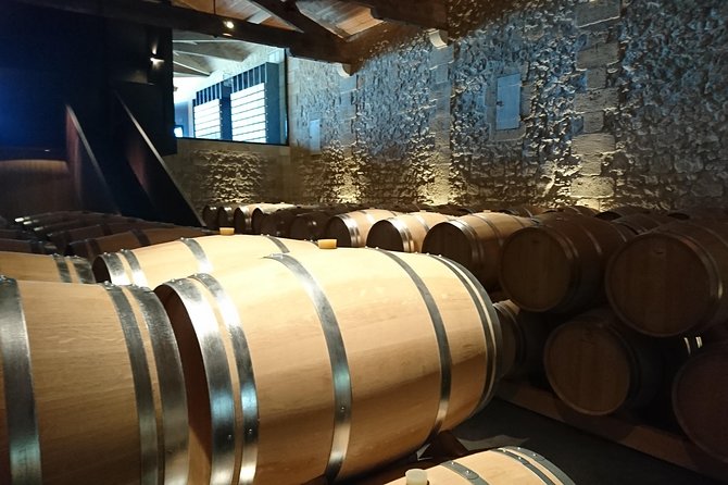 Full-Day Wine Tour in Saint-Emilion (Premium Sedan) - Exclusive Winery Visits