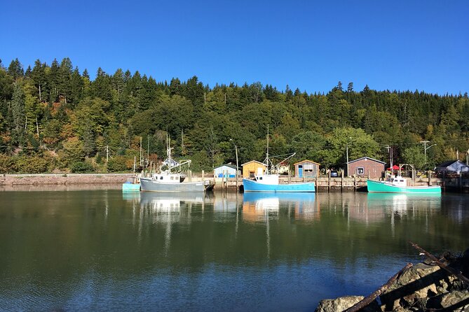 Go Fundy Tours - Traveler Reviews and Ratings