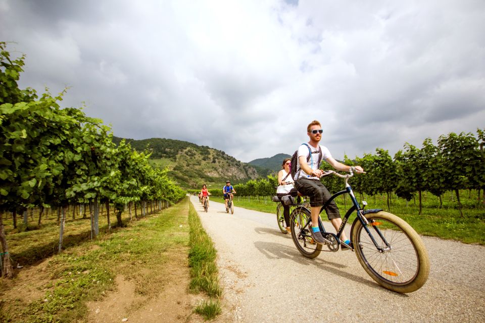 Grape Grazing: Wachau Valley Winery Biking Tour - Experience Highlights and Activities