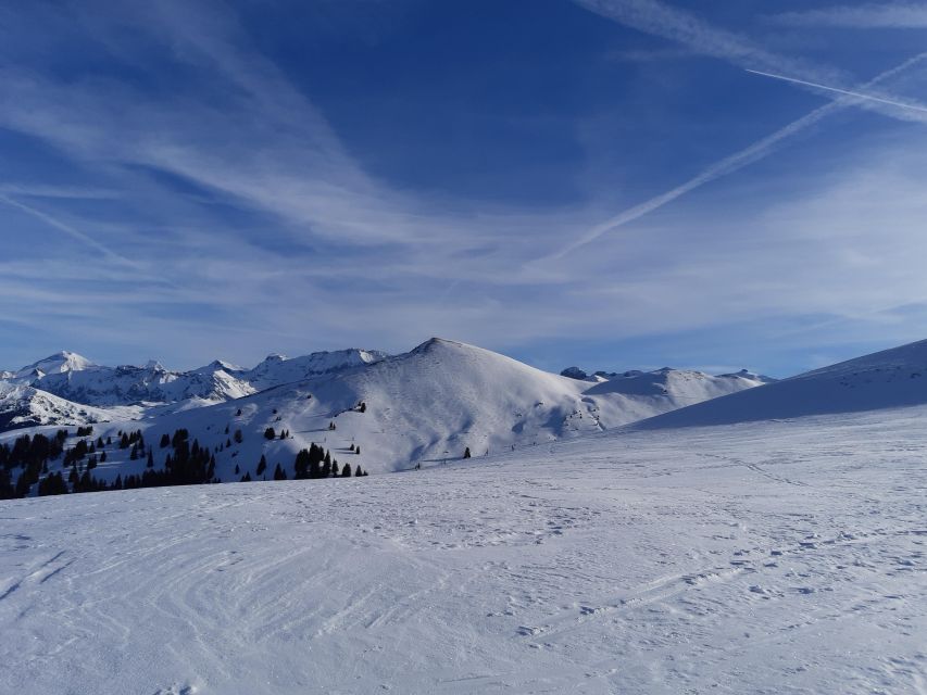 Gstaad: Avalanche Workshop for Snowshoe Tours - Safety Measures