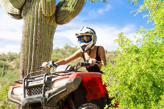 Guided Arizona Desert Tour by ATV - Historical and Wildlife Insights