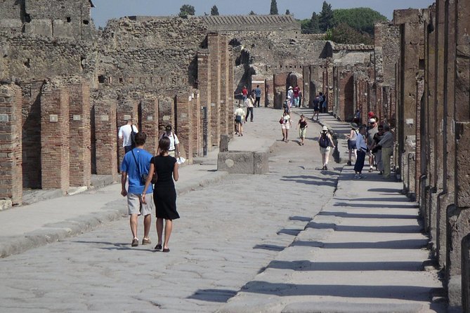 Guided Day Tour of Pompeii and Herculaneum With Light Lunch - Guide Insights