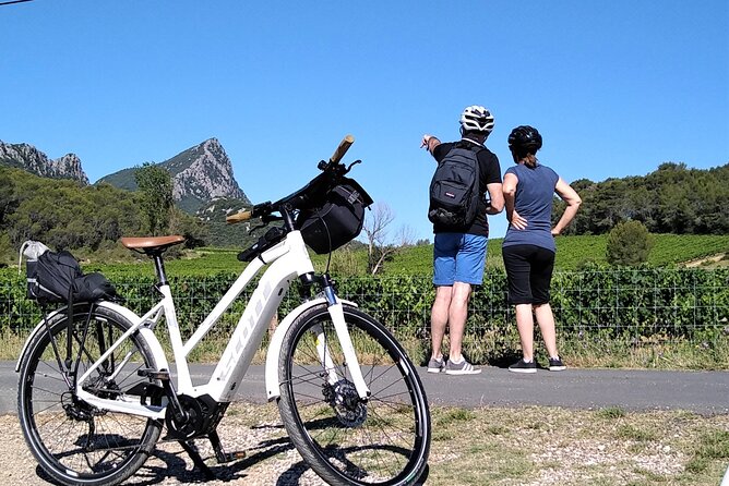 Guided Electric Bike Tours With Tasting in Pic Saint Loup - Group Size Variations