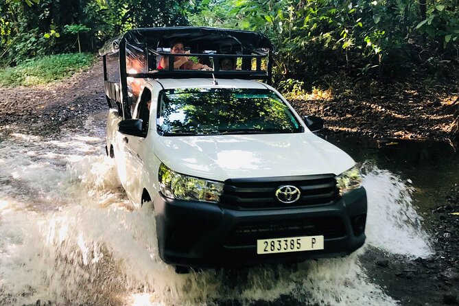 Guided Excursion in 4x4 in Moorea Between Land and Sea - Marine Encounters