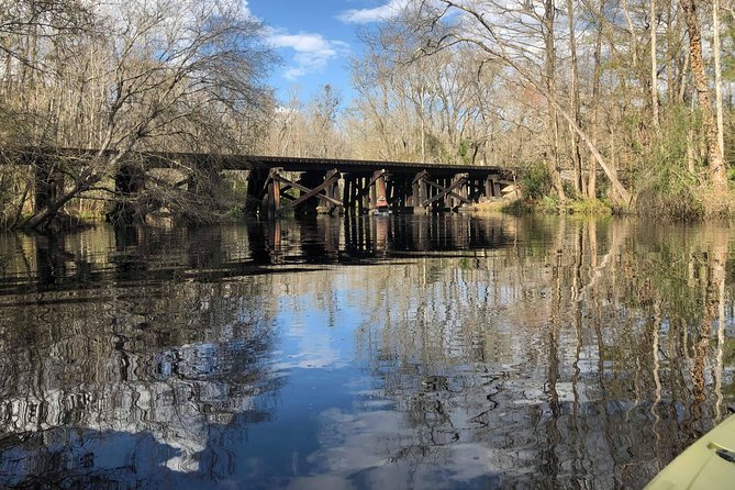 Guided Kayak Eco Tour: Real Florida Adventure - Traveler Experience