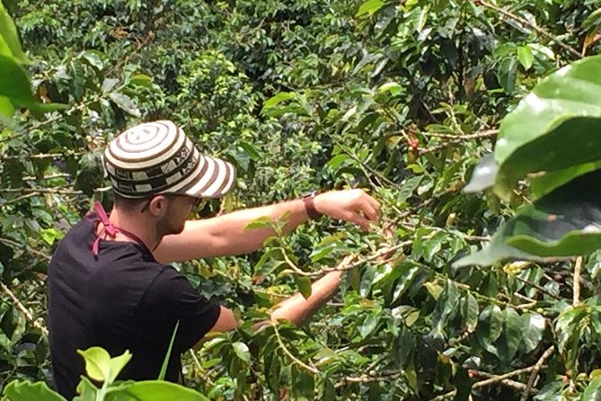 Half-Day Coffee Plantation Private Tour in Medellín, Colombia - Additional Information