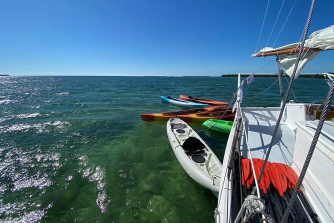 Half-Day Cruise From Key West With Kayaking and Snorkeling - Reviews and Crew Members