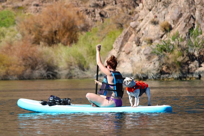 Half Day - EZ Guided Kayak Tour - Experience Expectations