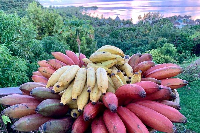 Half-Day Guided Hike to Afareaitu Waterfall - Highlights and Reviews