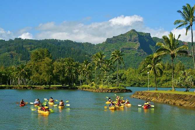 Half-Day Kayak and Waterfall Hike Tour in Kauai With Lunch - Customer Reviews