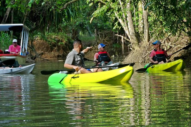 Half-Day Mangroves Tour by Kayak With a Naturalist Guide  - Quepos - Customer Reviews and Experiences