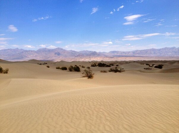 Half-Day Mojave Desert ATV Tour From Las Vegas - Logistics and Reviews