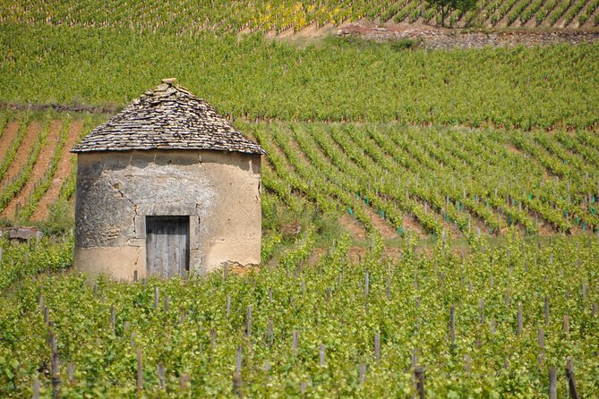 Half-Day Private Tour in Côte De Beaune - Booking Information