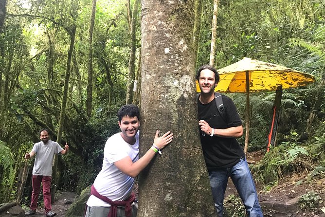 Hike to the Highest Colombian Waterfall! (La Chorrera and Chiflon) - Guide Expertise and Experience