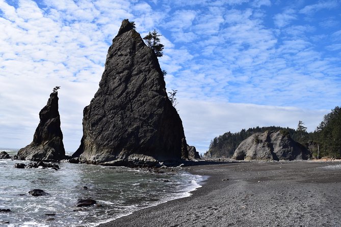 Hoh Rain Forest and Rialto Beach Guided Tour in Olympic National Park - Additional Information