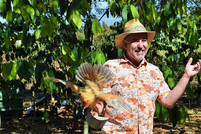 Holualoa Coffee and Chocolate Plantation 2-hour Guided Tour  - Big Island of Hawaii - Gregs Hosting