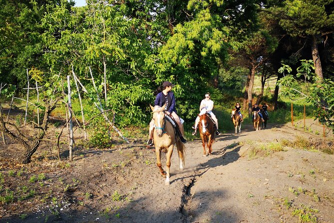 Horseback Riding on Vesuvius - Safety and Professionalism Assurance