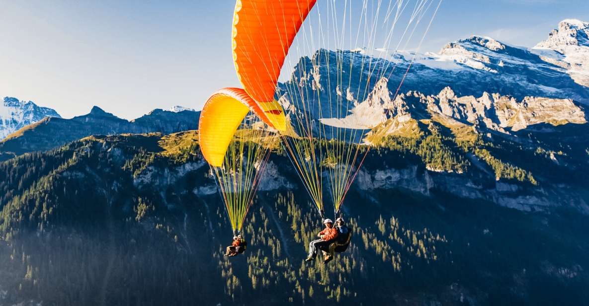 Interlaken: Tandem Paragliding Flight - Participant Information