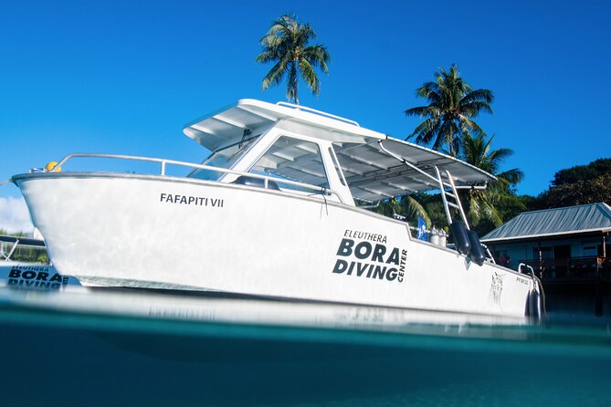 Introductory Dive in Bora Bora (afternoon) - Booking Process and Requirements