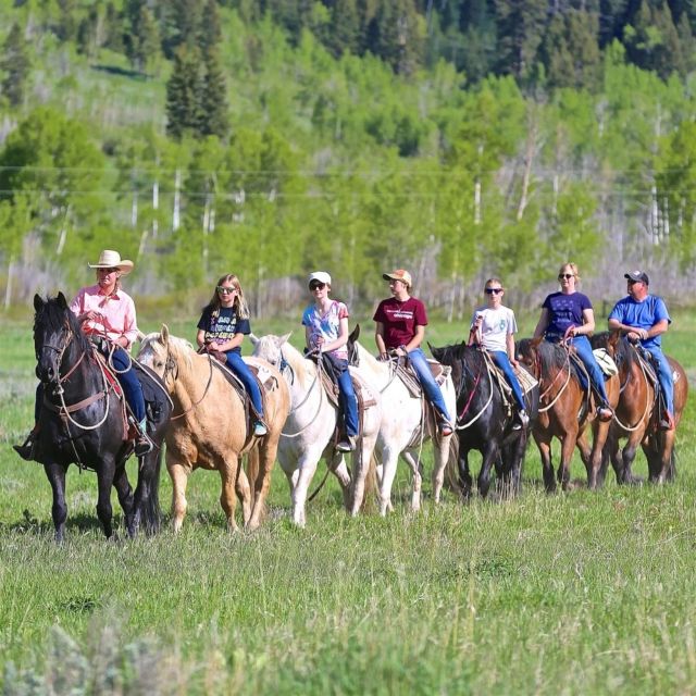 Jackson Hole: Bryan's Flat Guided Scenic Horseback Ride - Full Description