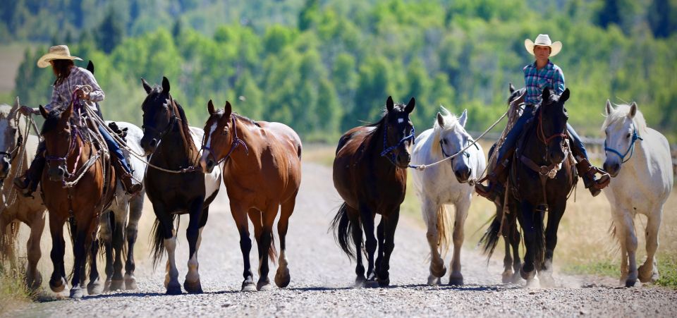 Jackson Hole: Moose Meadow Horseback Tour With Breakfast - Full Description