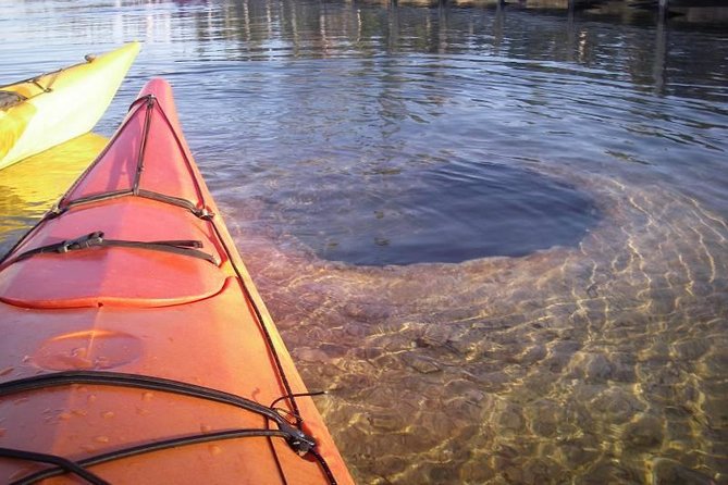 Kayak Day Paddle on Yellowstone Lake - Inclusions and Meeting Details