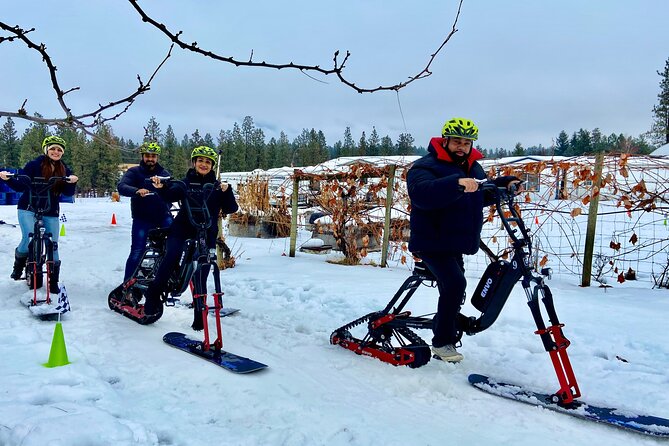 Kelowna Snow E-Biking Adventure With Lunch, Wine Tasting & Smores - Expectations and Requirements