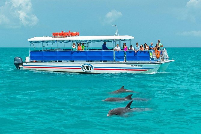 Key West Dolphin Watch and Snorkel Cruise - Customer Feedback