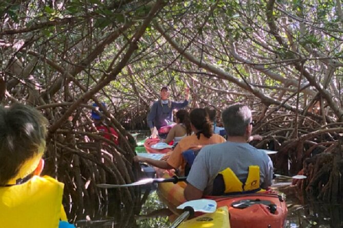 Key West Mangrove Kayak Eco Tour - Customer Reviews