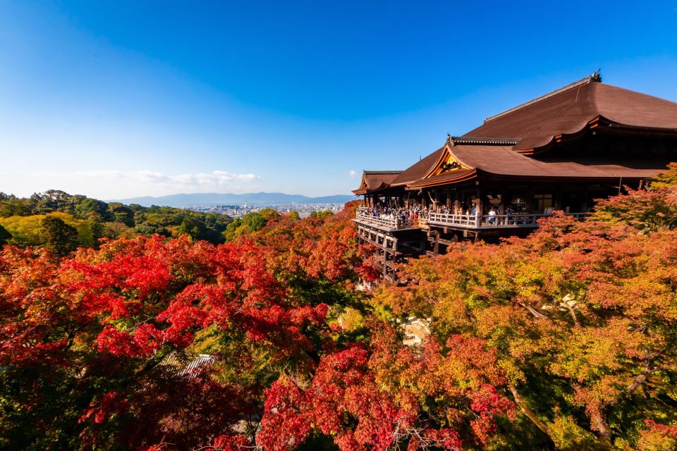 Kiyomizu Temple and Backstreet of Gion Half Day Private Tour - Meeting Point Details and Logistics