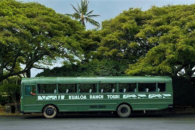 Kualoa Ranch: Hollywood Movie Sites Tour - Traveler Tips