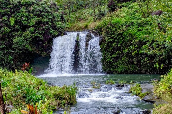 Lahaina Small-Group Road to Hana Tour  - Maui - Tour Expectations