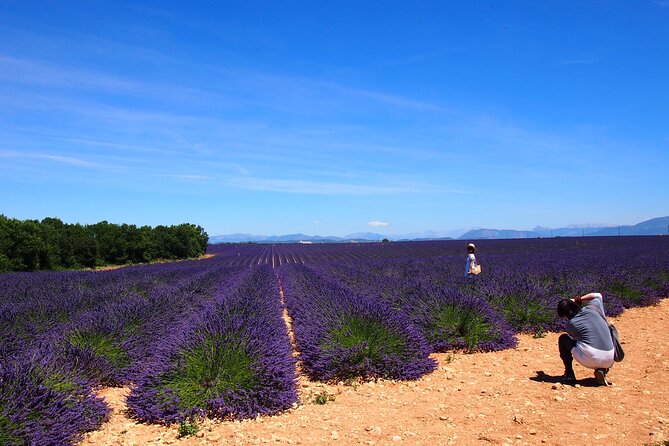 Lavender Fields Tour in Valensole From Marseille - Inclusive Offerings