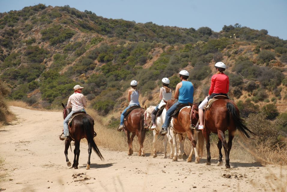 Los Angeles: 2-Hour Hollywood Trail Horseback Riding Tour - Important Information