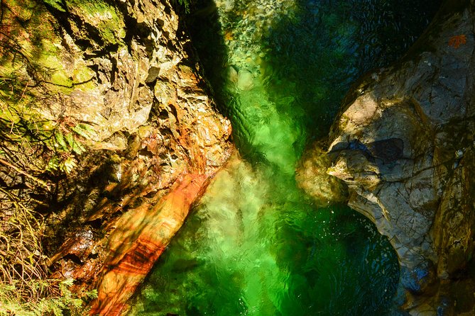 Lynn Canyon Suspension Bridge & Park Photography - Reviews and Recommendations