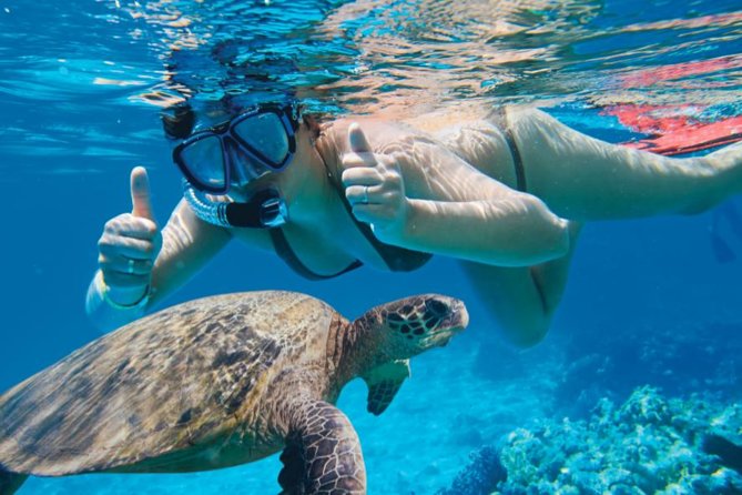Makena Turtle Town Eco Adventure in Maui - Conservation Efforts