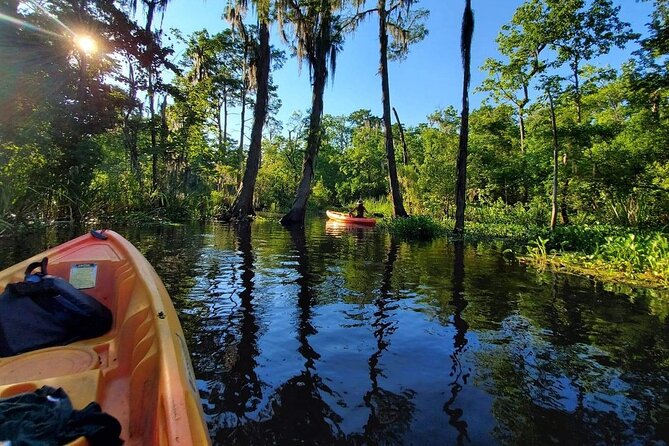 Manchac Swamp Kayak Small-Group Tour - Benefits of the Tour