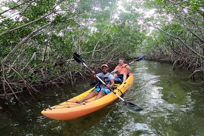 Mangroves and Manatees - Guided Kayak Eco Tour - Cancellation Policy