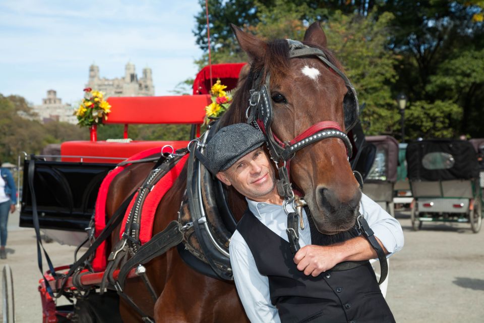 Manhattan: VIP Private Horse Carriage Ride in Central Park - Carriage Ride Details