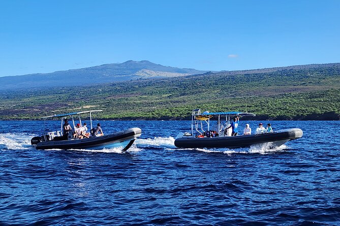 Manta Ray Night Snorkel at Kona, Big Island - Cancellation Policy