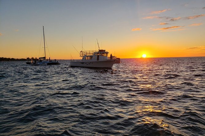 Manta Ray Night Snorkel in Kona - Traveler Experience and Reviews