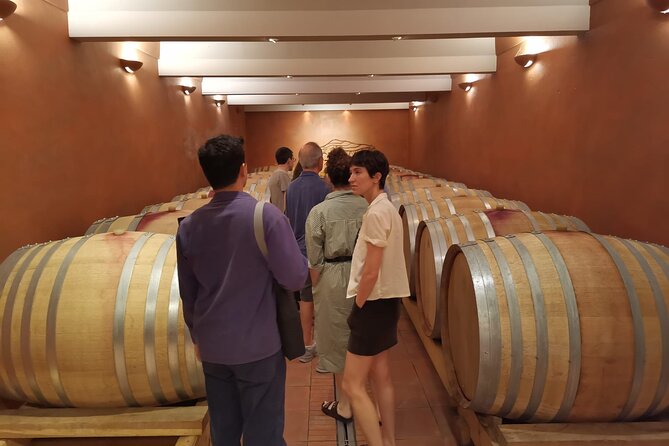 Marseille Shore Excursion - Full Day Wine Tour in Provence - Transportation Details