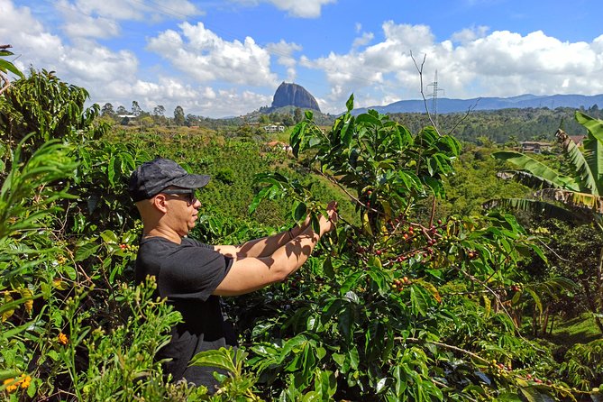 Medellin, Colombia Full-Day Coffee Farm and Guatape Tour  - Medellín - Highlighted Tour Activities