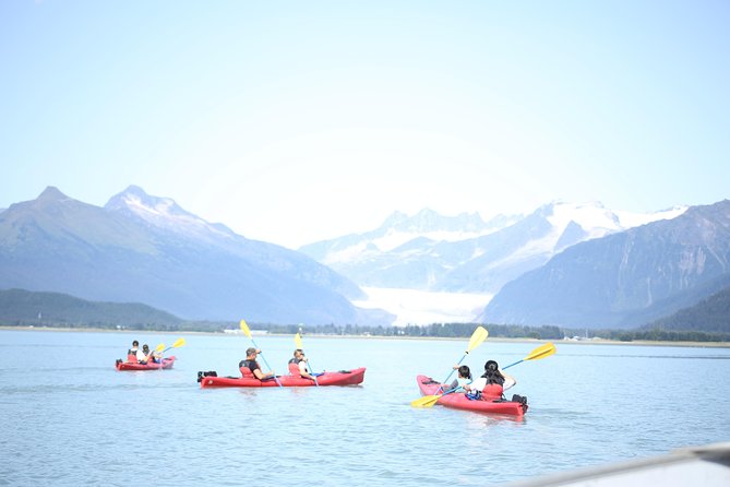 Mendenhall Glacier View Sea Kayaking - Expectations and Additional Information