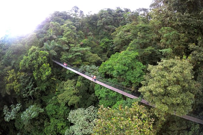 Mistico Park Hanging Bridges Guided Tour - Common questions