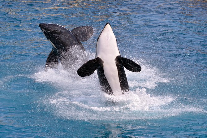 Monterey Bay Whale Watching - Meeting and Pickup Information