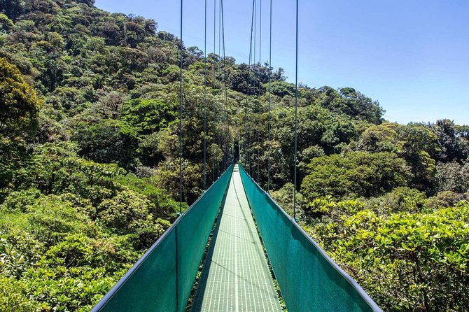 Monteverde Sky Tram & Hanging Bridges Cloud Forest Tour From San Jose - Additional Information and Resources