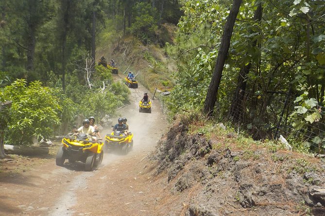 Moorea Half-Day Jet Ski and ATV Mini Combo Package - Jet Skiing Experience on the Lagoon